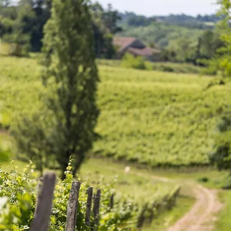 Cabernet * Benesse-les-Dax